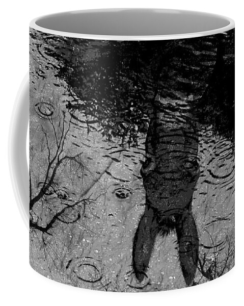Reflection Of A Scene Coffee Mug featuring the photograph Donkey by Jean Francois Gil