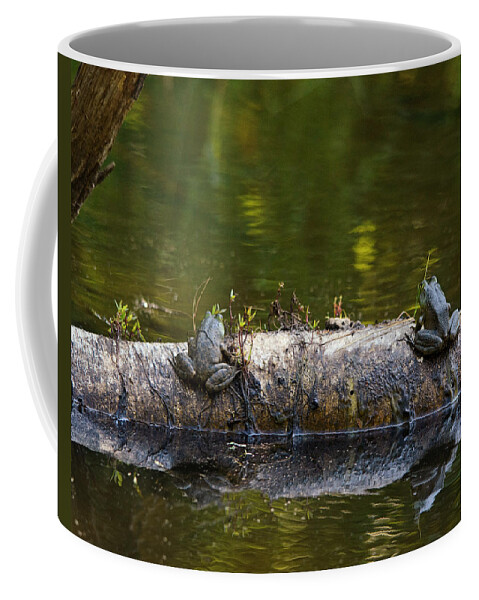 Frogs Coffee Mug featuring the photograph Don't You Love Mornings Like This by Sue Capuano