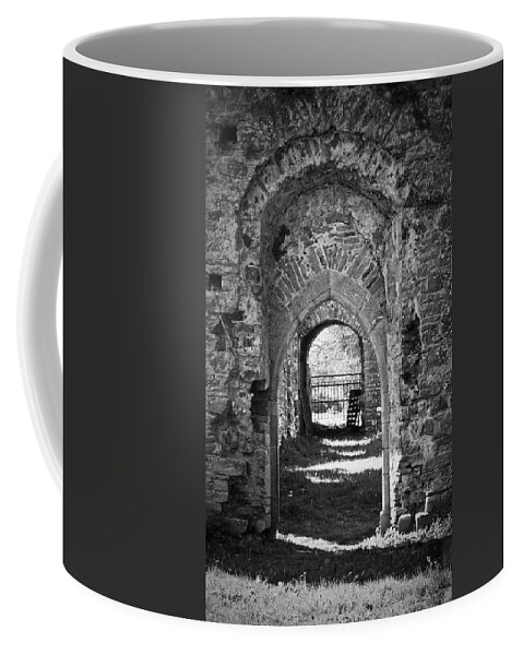 Irish Coffee Mug featuring the photograph Doors at Ballybeg Priory in Buttevant Ireland by Teresa Mucha
