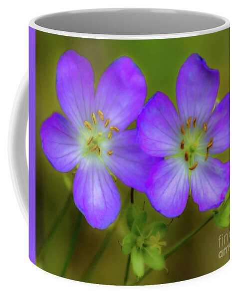 Flower Coffee Mug featuring the photograph Double Beauty by Rod Best