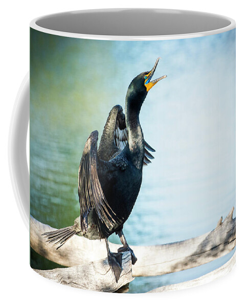 Cormorants Coffee Mug featuring the photograph Double-Crested Cormorant by Judi Dressler