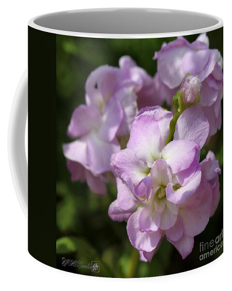 Mccombie Coffee Mug featuring the photograph Double Lavender Stocks from the Vintage Mix by J McCombie