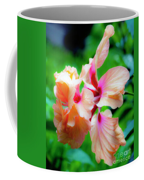 Hibiscus Coffee Mug featuring the photograph Double Peach Hibiscus two by Ken Frischkorn