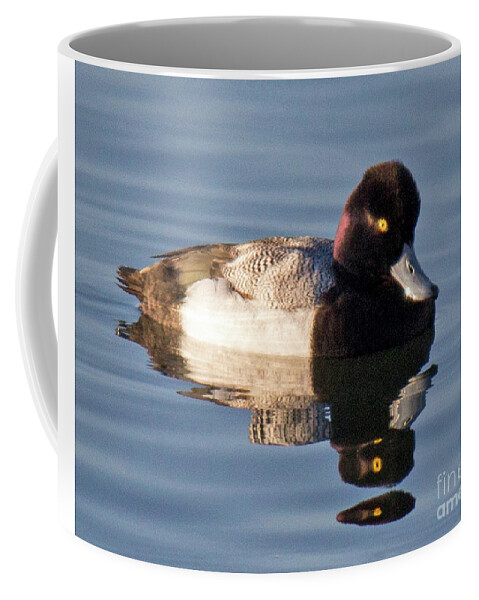 Wetlands Coffee Mug featuring the photograph Double Reflection by Cheryl Del Toro