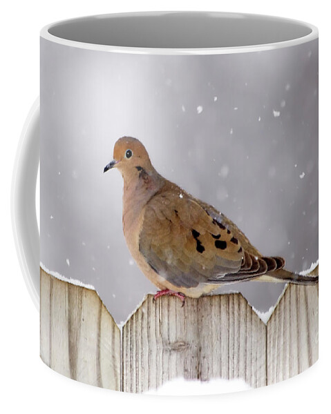 Dove Coffee Mug featuring the photograph Dove in the Snow by Betty LaRue