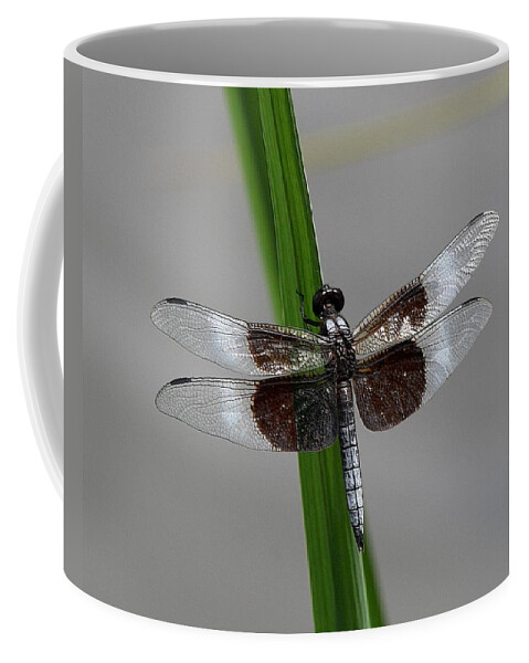 Dragon Fly Coffee Mug featuring the photograph Dragon Fly by Jerry Battle