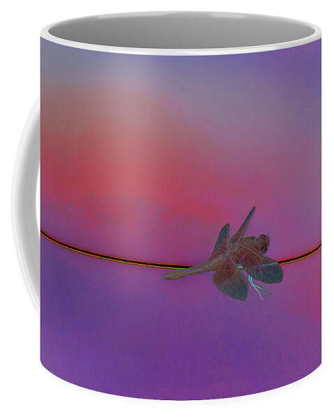 Dragon Love And Its Fire Coffee Mug featuring the photograph Dragon Love And Its Fire 5 by Kenneth James