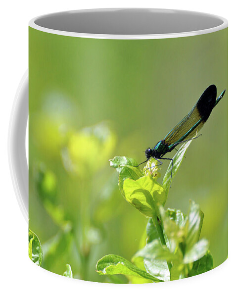 Dragonfly Coffee Mug featuring the photograph Dragonfly by Glenn Gordon