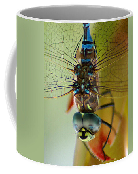 Dragonfly Coffee Mug featuring the photograph Dragonfly in Thought by Ben Upham III