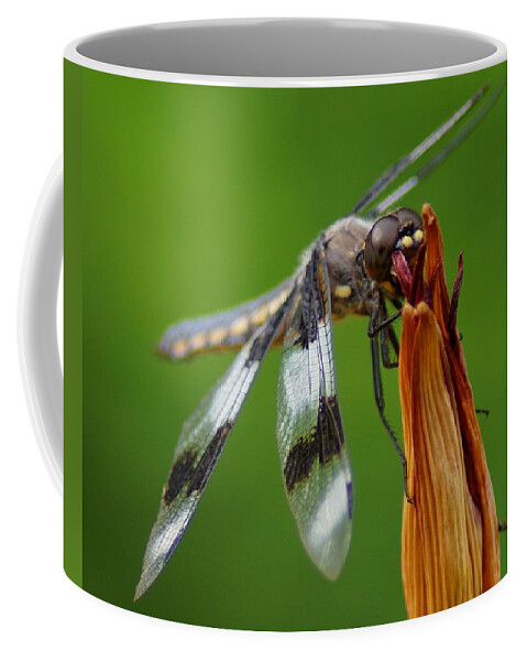 Dragonfly Coffee Mug featuring the photograph Dragonfly Portrait 2 by Ben Upham III