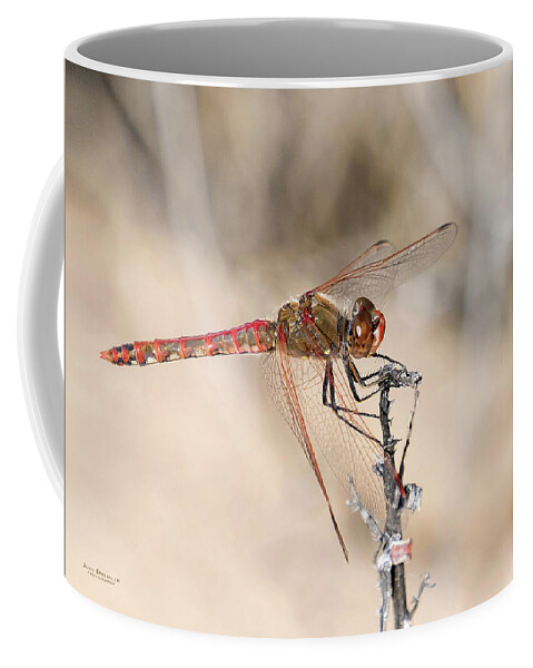 Dragonfly Coffee Mug featuring the photograph Dragonfly Resting by Judi Dressler