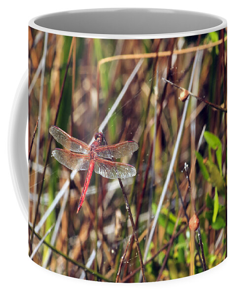 Holding Coffee Mug featuring the photograph Dragonfly by Travis Rogers
