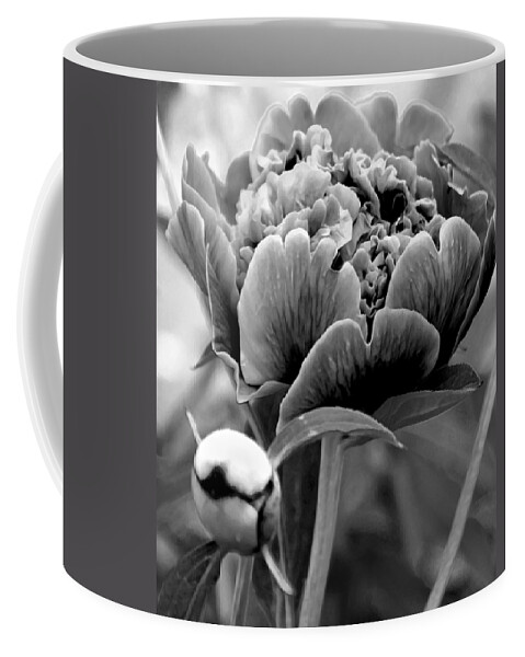 Peony Coffee Mug featuring the photograph Drama In The Garden by Angelina Tamez