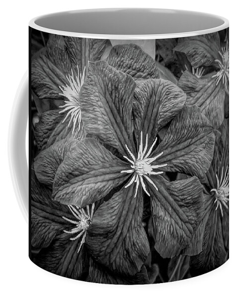 Flower Coffee Mug featuring the photograph Dramatic Black and White by Aimee L Maher ALM GALLERY