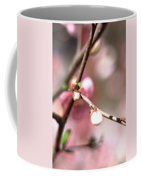 Spring Coffee Mug featuring the photograph Dreaming Of Cherry Buds by Carol Montoya