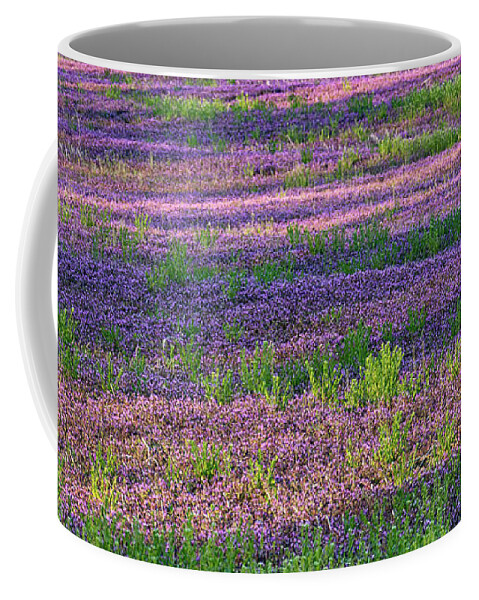 Spring Coffee Mug featuring the photograph Dreaming of France by Holly Ross