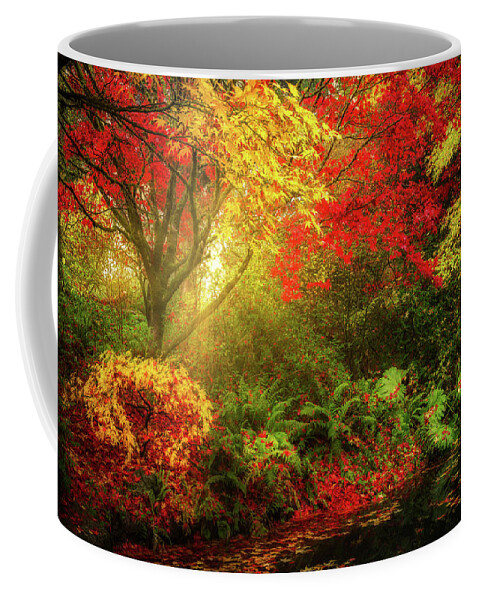 Arboretum Coffee Mug featuring the photograph Dreamy Autumn by Mihai Andritoiu