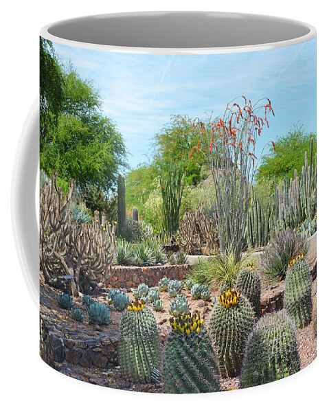 Desert Coffee Mug featuring the photograph Dreamy Desert Cactus by Aimee L Maher ALM GALLERY