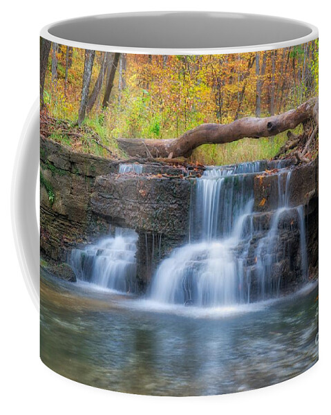Falls Coffee Mug featuring the photograph Dreamy Falls by Bill Frische