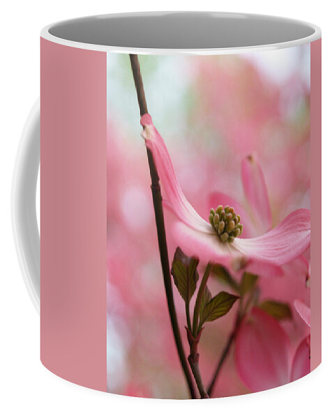 Flowers Coffee Mug featuring the photograph Dreamy Pink Blossoms by Dorothy Lee