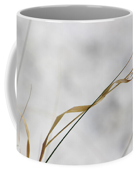 Grass Coffee Mug featuring the photograph Dried Twist Grass in White Sands by Colleen Cornelius