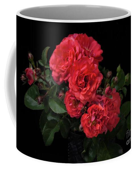 Flowers Coffee Mug featuring the photograph Drift Roses by Ann Jacobson