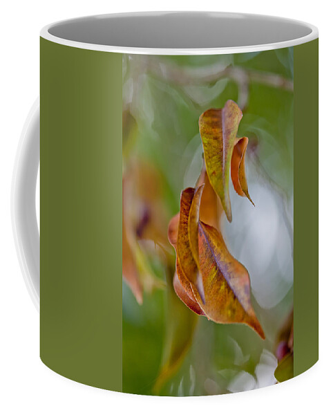 Leaf Coffee Mug featuring the photograph Drifting Away by Az Jackson