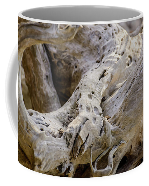 Driftwood Coffee Mug featuring the photograph Driftwood on the Beach by Robert Mitchell