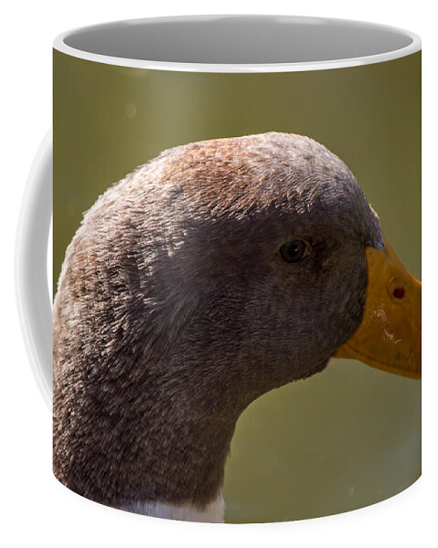 Duck Coffee Mug featuring the photograph Drip Drip by Leticia Latocki