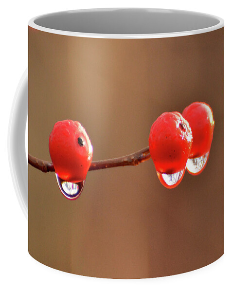 Droplets Coffee Mug featuring the photograph Droplets by Nancy Landry