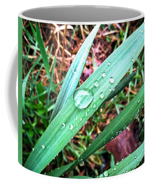 Water Coffee Mug featuring the photograph Droplets by Robert Knight