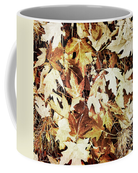 Autumn Coffee Mug featuring the photograph Dry brown leaves by GoodMood Art