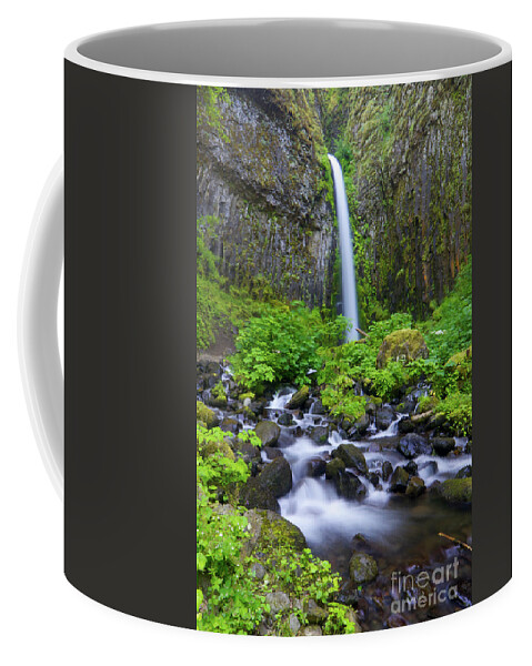 Waterfall Coffee Mug featuring the photograph Dry Creek Falls by Bruce Block
