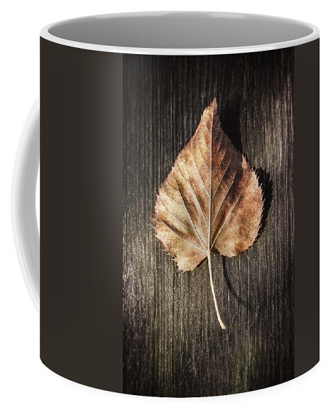 Autumn Coffee Mug featuring the photograph Dry Leaf on Wood by Scott Norris
