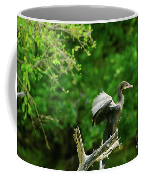Indian Cormorant Coffee Mug featuring the photograph Drying Indian Cormorant by Venura Herath