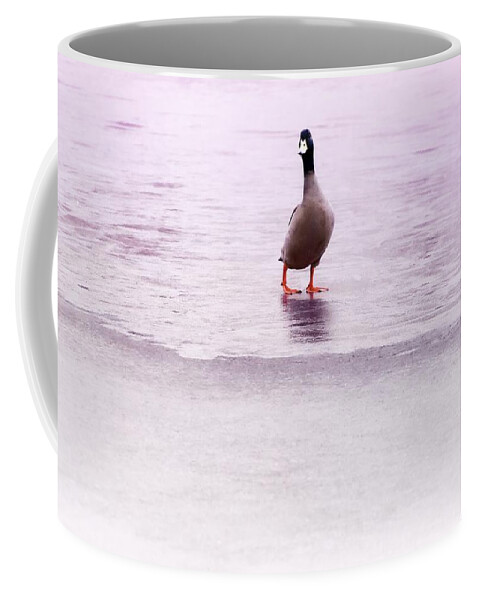 Duck Coffee Mug featuring the photograph Duck And Ice 2 by Jaroslav Buna