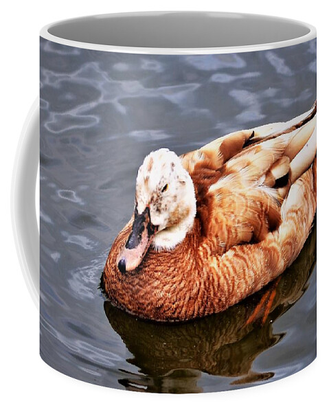 Duck Coffee Mug featuring the photograph Duck by Chuck Brown