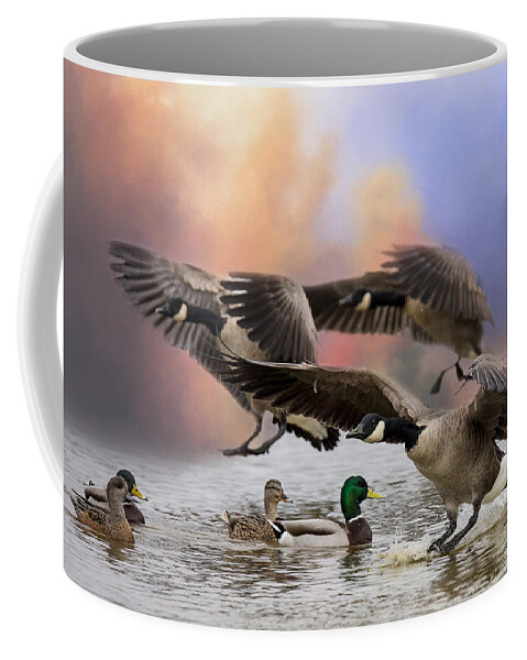 Canada Geese Coffee Mug featuring the photograph Duck Ducks 2 by Randy Hall