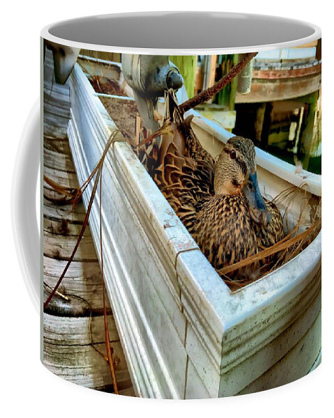 Duck Coffee Mug featuring the photograph Duck on the Dock by Chris Montcalmo