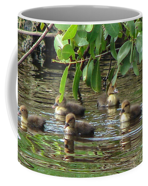 Duck Coffee Mug featuring the photograph Ducklings by Carl Moore