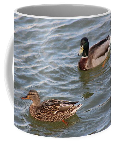 Wildlife River Duck Ducks Animal Waterfront Summer Oldtown Virginia Usa Bird Us America U.s.a States Black White Beige Green Water  Coffee Mug featuring the digital art Ducks by the River by Jeanette Rode Dybdahl