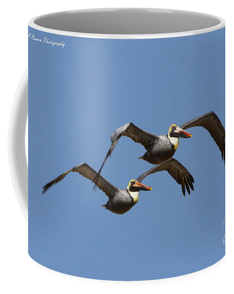 Brown Pelican Coffee Mug featuring the photograph Duel Pelicans in flight by Barbara Bowen