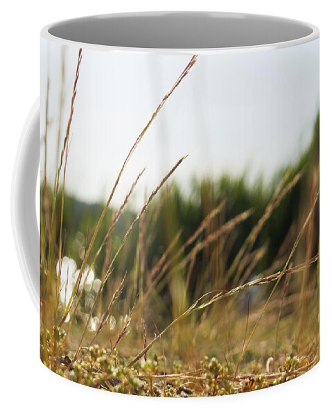 Dune Grass Coffee Mug featuring the photograph Dune Grass by Kirkodd Photography Of New England