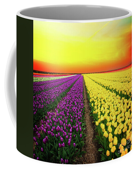 Tulip Coffee Mug featuring the photograph Dutch Yellow and Violet Tulips by Anastasy Yarmolovich