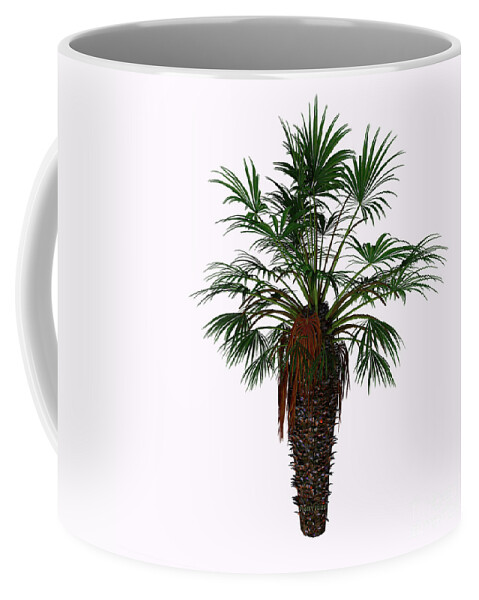3d Illustration Coffee Mug featuring the painting Dwarf Fan Palm Tree by Corey Ford