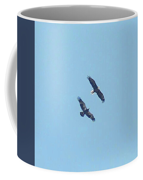 Bald Eagles Coffee Mug featuring the photograph E9 and parent soaring preparing for a new adventure by Liz Grindstaff
