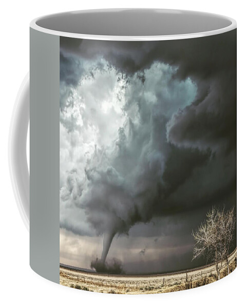 Eads Coffee Mug featuring the photograph Eads by Lena Sandoval-Stockley