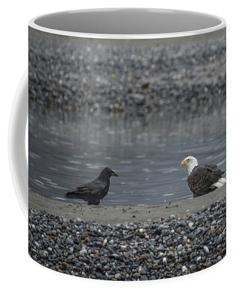 Bald Eagle Coffee Mug featuring the photograph Eagle and the Raven by David Kirby