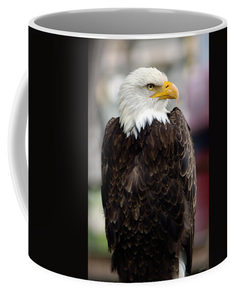 Eagle Coffee Mug featuring the photograph Eagle by Doug Gibbons