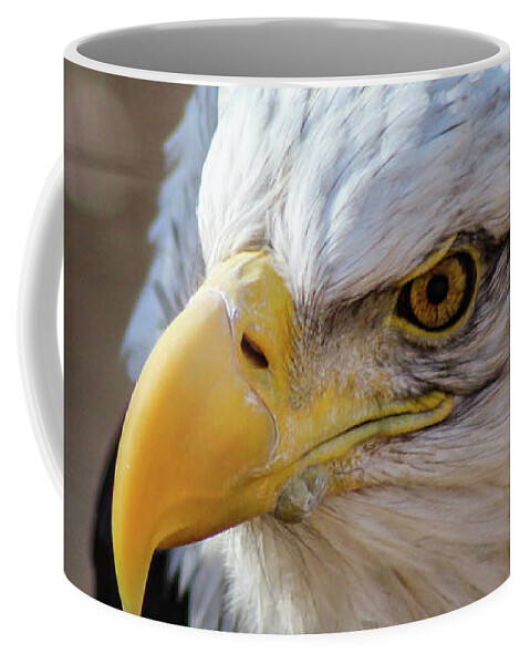 Bald Eagle Coffee Mug featuring the photograph Eagle Eye by Holly Ross
